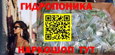 крисы Бузулук