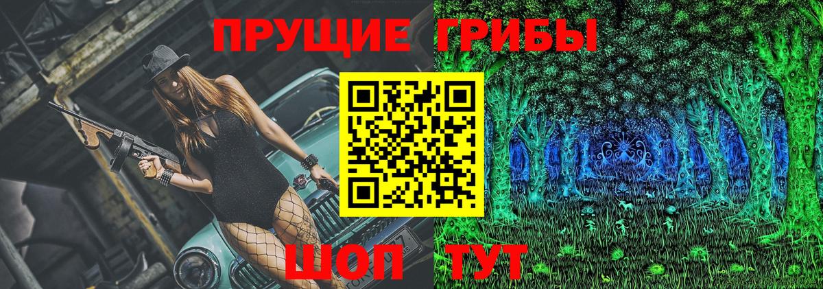 Псилоцибиновые грибы GOLDEN TEACHER Оренбург